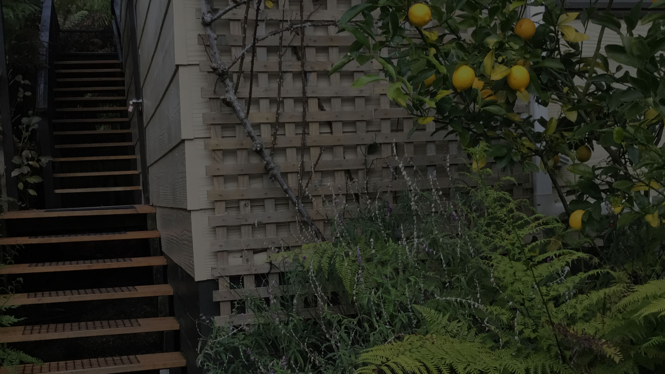 Waitomo Caves Guest Lodge