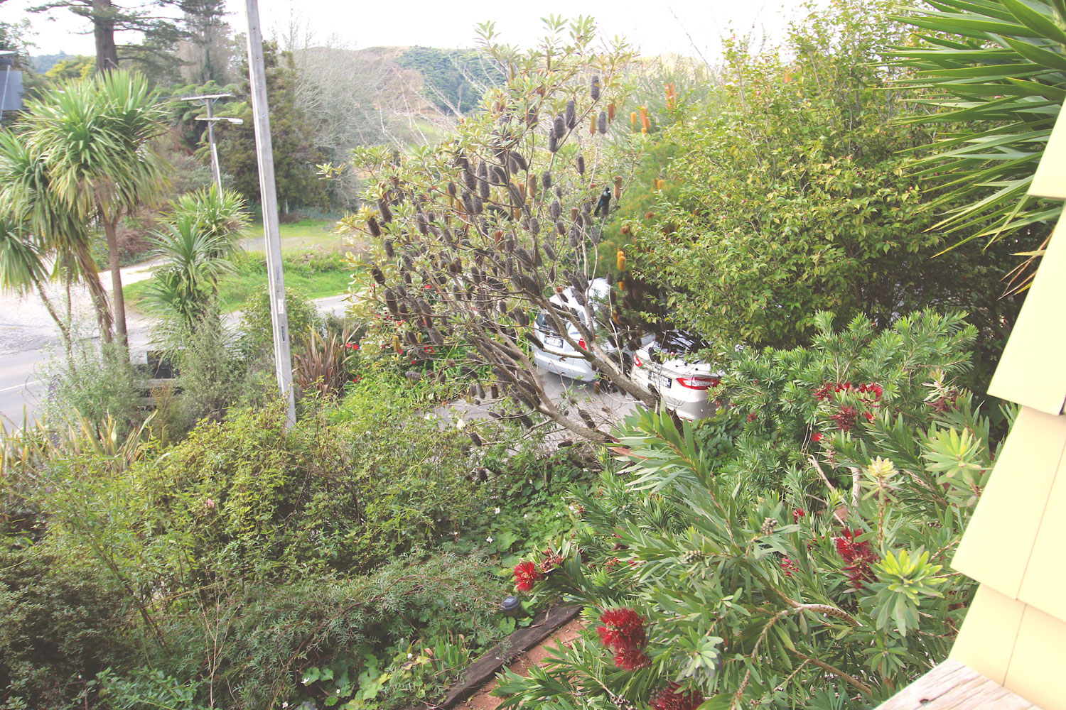 Waitomo Caves Guest Lodge